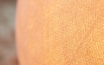 Insprirationsbild - Large salmonpink close-up